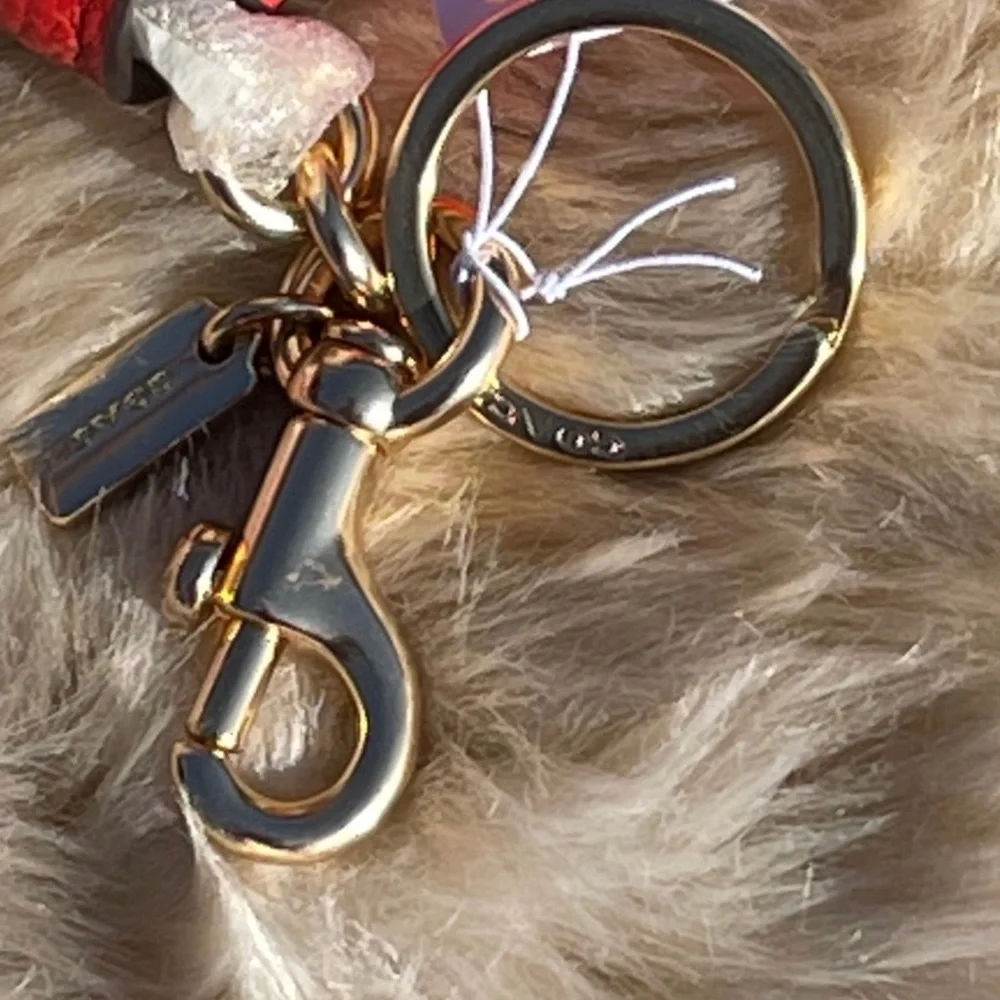 Coach Leather Mini Buckle Saddle Bag Poppy Bag Charm - Picture 10 of 10
